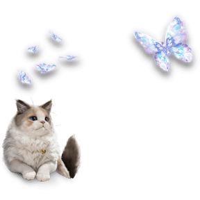 inZOI Psycat